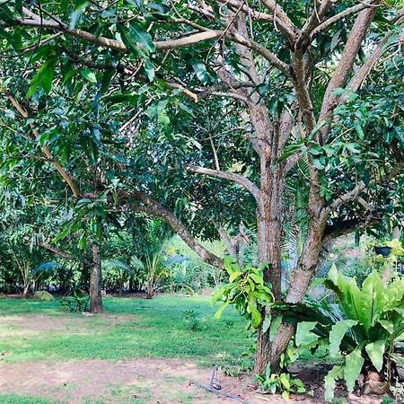 Glorious Villa Tangalle Luaran gambar